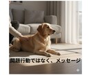 吠える・粗相の理由と関わり方みます 理由ちゃんと知りたくありませんか？直す前に本音を読みます。 イメージ1