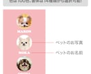 3匹用　シンプルデザイン　うちの子名刺お作りします 【両面印刷100枚】送料無料　セミオーダー　QRコード入り イメージ3