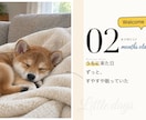 クーポン配布中 雑誌風うちの子動画作ります 9/30までお気に入りで30%オフ 雑誌をめくる犬猫動画 イメージ2
