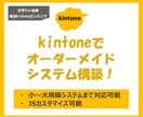 kintoneでオーダーメイドのシステム、作ります 要件定義・設計・JS開発まで幅広く対応可能です！ イメージ1