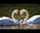 定期購入◾️恋愛に関するどんな悩みも霊視鑑定します 霊視界のラブエース-LOVE ACE黒須剣 イメージ1
