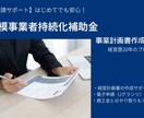 小規模事業者持続化補助金のアドバイス業務を行います 申請初心者も安心！経営歴20年の経験から加点項目の分析もOK イメージ1