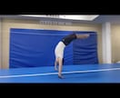 元鉄棒日本一の体操指導！ます 鉄棒や体操の技ができるようになるコツをわかりやすく教えます イメージ5