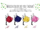 あなたの似顔絵でドレス色当てクイズキット作成します データ納品or物品配送(額縁/投票箱/投票用紙/クイズ用紙) イメージ4