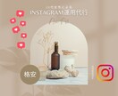 Instagram若者向けSNS運用代行いたします SNS運用代行で集客・アカウント強化を目指します イメージ1