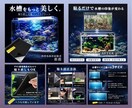 Amazon運営経験を活かした商品画像を作ります 何から作ればいいか分からない方も安心してお任せください。 イメージ3