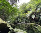 旅行先の選択肢の幅を広げます いますぐに行きたくなる都道府県の魅力をお伝えします！ イメージ4
