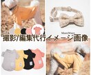 カメラマンによる商品画像の編集代行を行います 商品画像編集代行 1商品(1商品10枚まで)　8000円〜 イメージ4