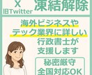 X(Twitter)凍結解除の申立をお手伝いします 海外ビジネス経験豊富でテック業界にも詳しい行政書士がサポート イメージ1