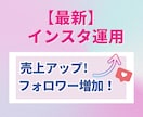 インスタ添削＆2025年最新の運用方法を教えます 売上やフォロワー数増加にお悩みの方、ご相談ください。 イメージ1