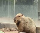 あなたの話聞きます どんなことでも構いません！気軽に電話してください イメージ1