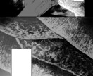 気持ちを漫画に込めて描きます 雰囲気重視・柔らかな作風で、キャラクターの魅力を表現します イメージ4
