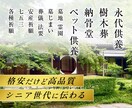 シニアに伝わる！低価格×高品質バナー制作します デザイン歴17年/修正無制限/2案ご提案 イメージ2