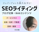 検索上位を目指す高品質なSEO記事を書きます SEOと心を揺さぶるライティングでCVを最大化します！ イメージ1