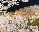 pinapo恋愛相談室やってます どんな悩みも聞いて承ります。今日も元気にpinapoooo イメージ1