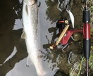 北海道のルアー渓流釣りのコツ色々おしえます 難しいルアーでの渓流釣りをサポートします！ イメージ1
