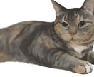 うちのこ描きます 猫ちゃん、わんちゃんを可愛くデジタルで描きます！ イメージ1