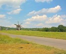 ウクライナ復興へ向けて現地情報をお伝えします ウクライナでの旅行業経験を活かし、アドバイス致します。 イメージ9