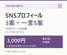 SNSプロフィール文を3案と一言5案作成します お店や活動の紹介を、選べる3案に整えます イメージ1