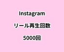 インスタリール再生回数5000回増やします ⭐高品質⭐リール再生回数が増えるよう拡散します！ イメージ1