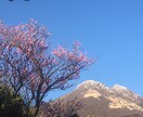お悩みに合わせ色々な視点から良い方向へ導きます 気付きから人は変わります！その気付きのお手伝いをします イメージ1