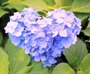 易で鑑定します 易が答えを教えてくれるでしょう イメージ1