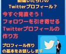 王道のTwitterプロフ作り方伝授します あなたのプロフは勘違いしてるかも。正しい作り方を教えます イメージ1