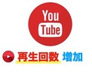 YouTube動画➕2000再生数拡大ます 今ならプラス500再生を無料で増量中‼️ イメージ2