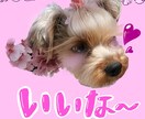 ペットの写真をスタンプにします あなたの大好きなペットといつでも一緒！ イメージ3