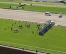馬券大学、2013年4月開講、馬券予想してます JRAの思惑、馬主の意向、馬の状態、厩舎、騎手の起用より予想 イメージ3