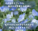 あなたの心の波を穏やかにします そっと寄り添い優しく包み込みます イメージ3