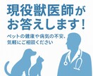 病院に行くべき？ペットの症状を獣医師が整理します 様子見でいいのか、受診の目安が分からない不安にお答えします イメージ1