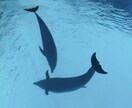 些細なことでもご相談お待ちしてます 恋愛・仕事・メンタル、何でもウェルカムです！ イメージ1
