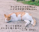 この恋どうなるにゃ？にゃんこ写真を添えて占います 気になる恋の未来を猫と一緒にタロットで占います イメージ2
