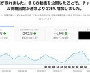 Youtubeの垢BANから完全復活させます Youtube垢BAN経験から完全復活までお手伝いします イメージ1