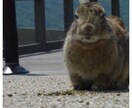 どんなジャンルのお悩みも親身になってお聴きします 悩み１つ無くなるだけでも明日からの人生が大きく変わるはず★ イメージ7