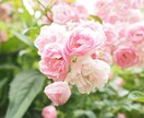 不倫・浮気・婚外恋愛⁑先の見えない不安を解消します 彼の本心は？未来はどうなるの？彼の気持ちを確かめたいあなたに イメージ8