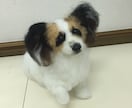 羊毛フェルト作品を手直しします 「思ったのとなんか違う（T_T）」を解決します♡ イメージ7