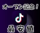 TikTok日本人再生回数増加まで安全に拡散します 今年はオープン記念中！振分け無料/高品質/1万回獲得最安値！ イメージ2