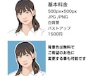 程よいリアルさ、あなたの似顔絵アイコン描きます SNSからお仕事用まで!デフォルメし過ぎないから使いやすい イメージ5
