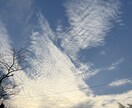 あなたのお悩み相談にのります 人生経験豊富なオジ様があなたのお悩みスカッと解決。 イメージ3