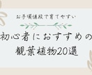 コンサート等のチラシを作成いたします シンプルで可愛く、見やすいフライヤーをお作りします。 イメージ7