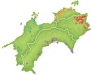お遍路代行(代参)致します お遍路代行四国88ヶ所霊場と西国33ヶ所の巡礼 イメージ1