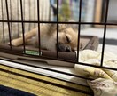 ゲイですがよかったら。今すぐ話したい方お話聞きます 相談、愚痴をなんとなくで大丈夫です。 イメージ1