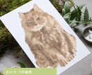 やさしいタッチでペットのイラスト描きます 犬猫小動物、爬虫類、なんでも描きます！ イメージ3