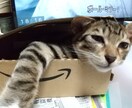 四男一女のシングルマザーがあなたのお話聴きます 悩んだとき、話したいとき、あなたに寄り添ってお話聴きます。 イメージ1