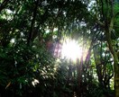 適職・天職・適性・能力を数秘術で明らかにします 生年月日から読み解く、あなたの才能・使命。労働から天職へ イメージ7