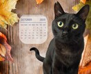 愛犬愛猫の写真でオリジナル壁紙をお作りします 世界にひとつ、愛するペットの特別デザイン壁紙 イメージ1