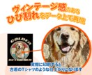 古着風ロックTデザインを作成いたします デザインで古着特有の印刷剥がれや色褪せを表現 イメージ2