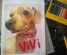 色鉛筆 水彩絵の具 ペット・動物の絵を描きます。 イメージ3